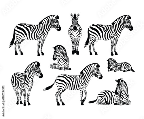 Elegant Zebra Silhouette Collection Vector Art