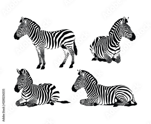 Creative Zebra Silhouette Collection Vector Template Design