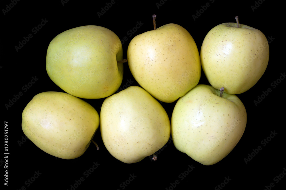 Large yellow apples on a black background. Lots of natural organic apples. Large yellow apples on a black background. Lots of natural organic apples.