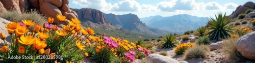 Spring wildflowers bloom amidst cacti and rocky desert landscape, sky, springtime, background