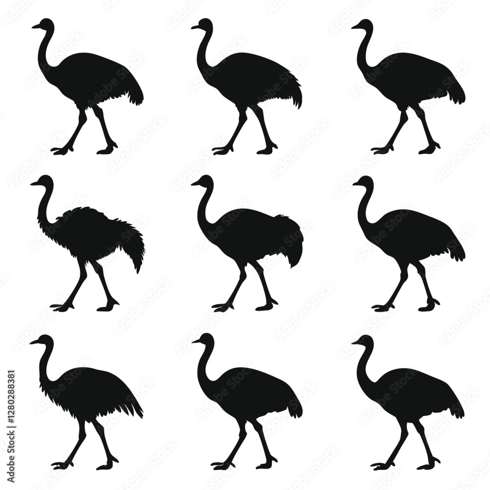 Obraz premium Ostrich Silhouette Vector Graphics: Black and White Bird Illustration, Wildlife Art for Design Projects, Animal Clipart, Graphic Elements