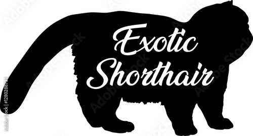 Exotic Shorthair cat silhouette, cat, cat breeds, logo, vector, silhouette,  animal, illustration, icon, sign, design, black, symbol, pet, love
