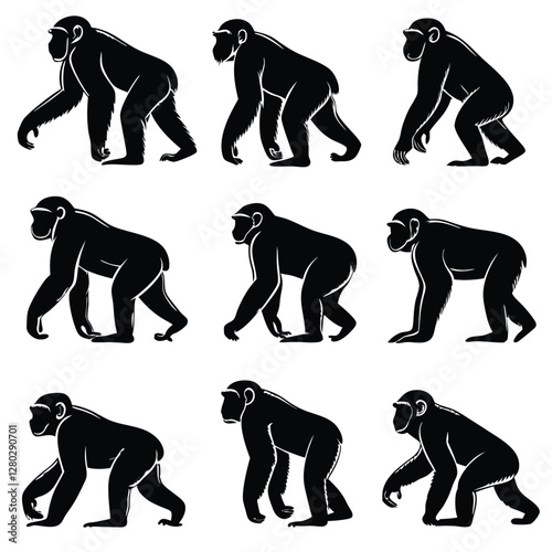 Chimpanzee Silhouette Vector Illustration: Black and White Graphic of Walking Apes, Wildlife Animal Art, Primate Clipart, Mammal Design