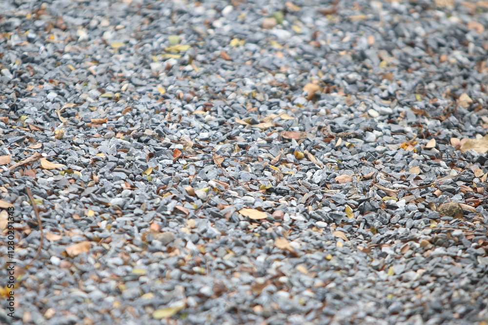 Gravel Texture: Close-up of a coarse gravel surface. The texture is rough, showing a mix of gray stones and a few fallen leaves, suggesting a natural environment. Gravel Texture: Close-up of a coarse gravel surface. The texture is rough, showing a mix of gray stones and a few fallen leaves, suggesting a natural environment.