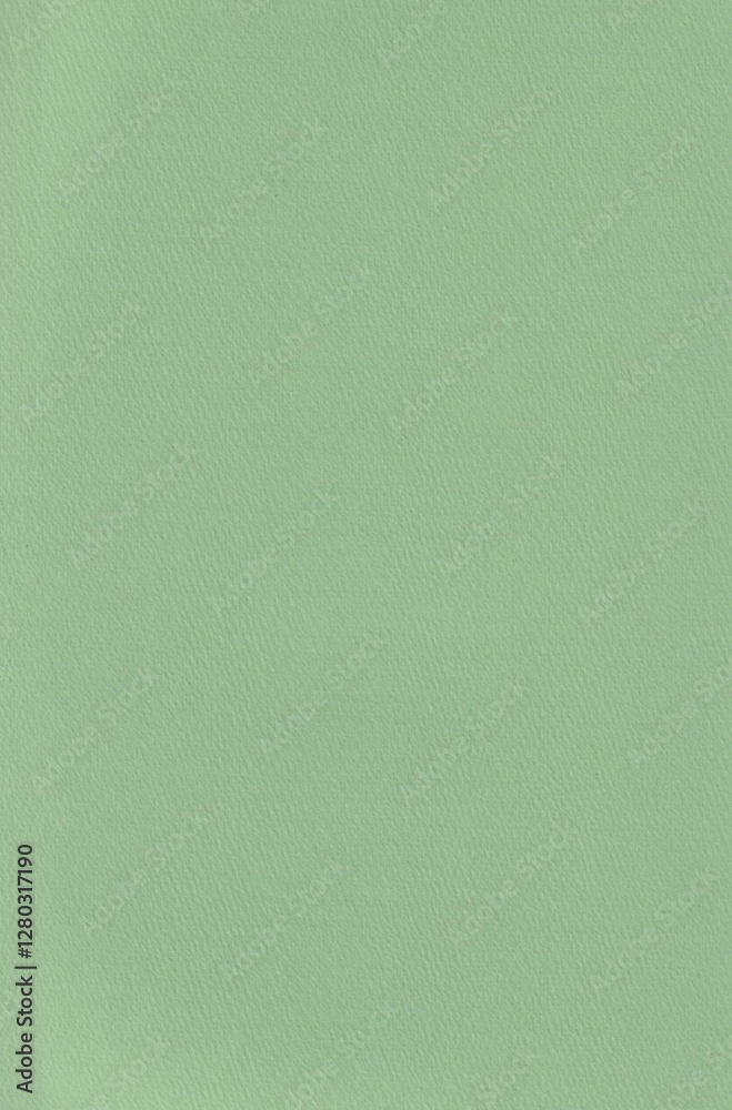 Fototapeta premium 緑色の紙