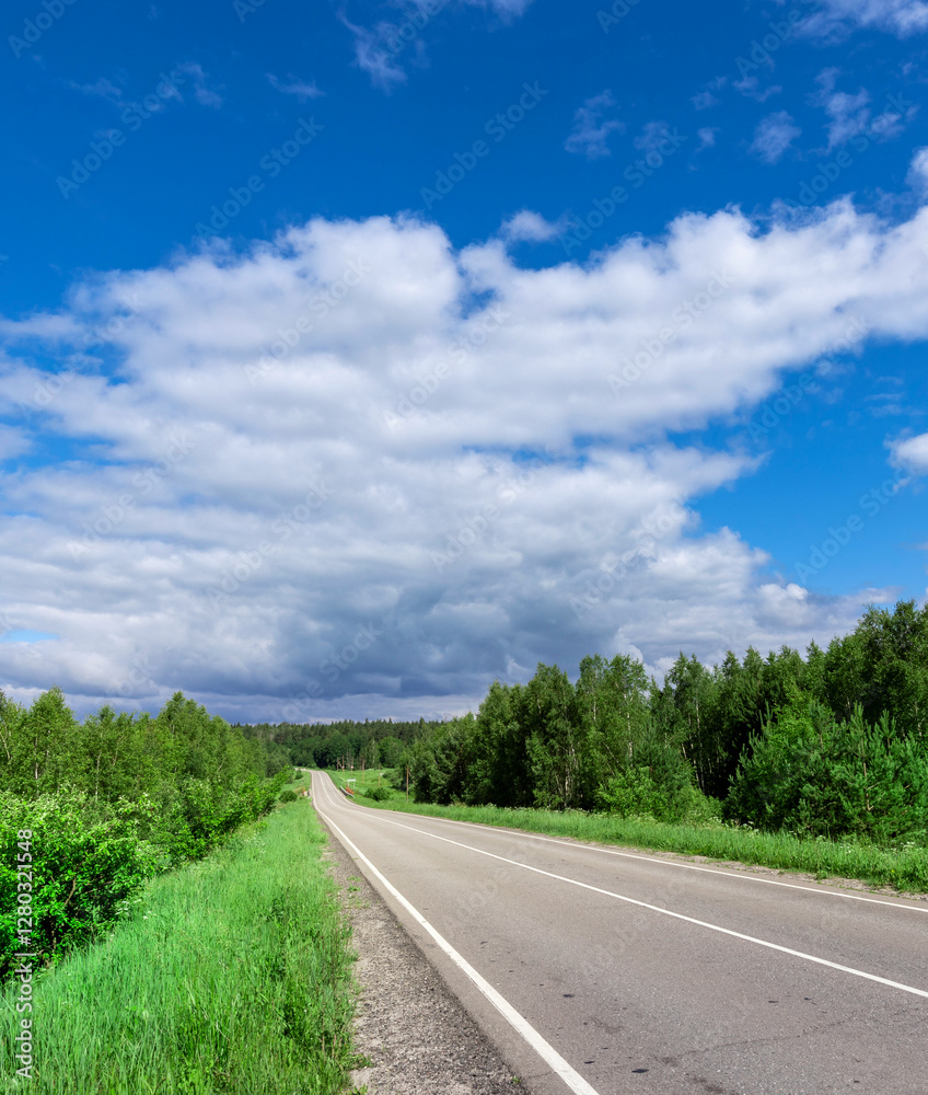 Fototapeta premium Road with a few trees in the background and a clear blue sky