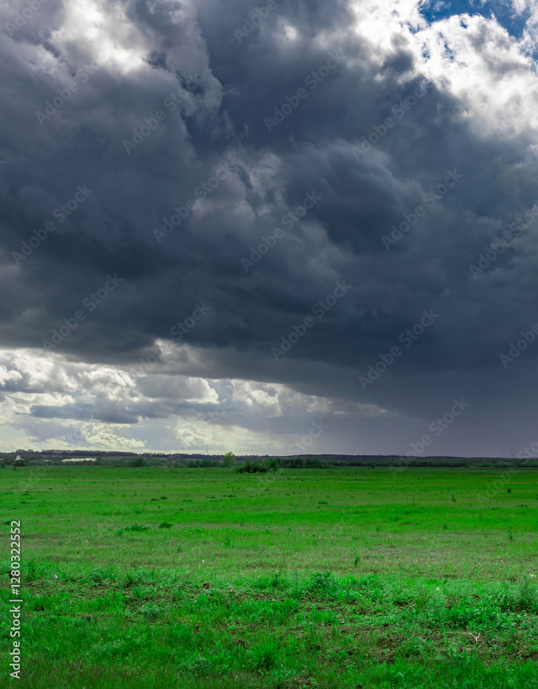Field of grass is shown with a dark storm cloud in the background Field of grass is shown with a dark storm cloud in the background