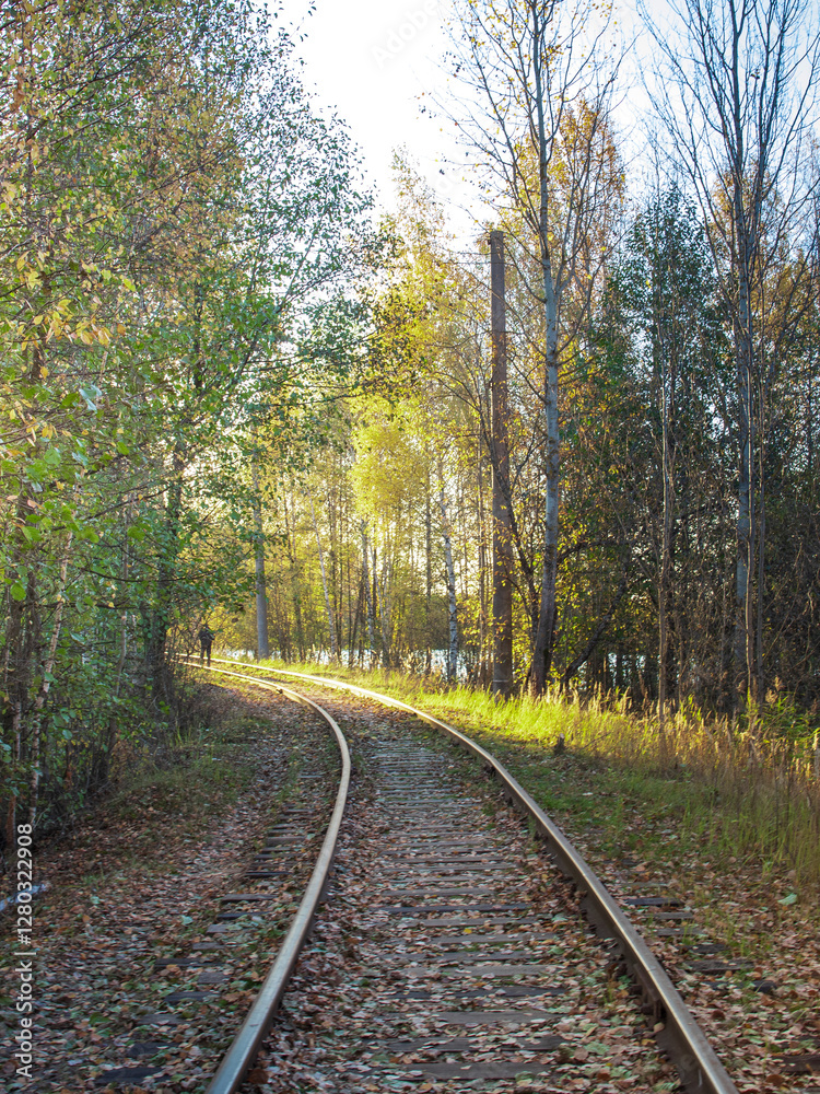 Train track with trees in the background Train track with trees in the background