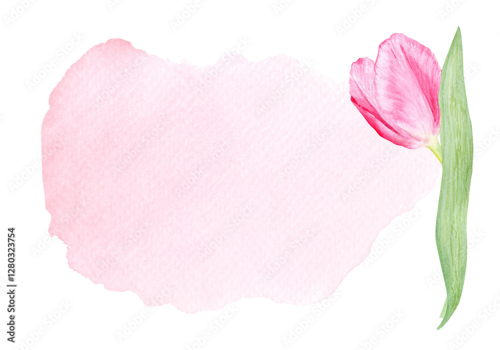 custom made wallpaper toronto digitalTulip flower horizontal card on pink watercolor background. Hand painted delicate pink flower, eco design. High quality clip art perfect for mother's day, women's day cards, posters, banners, decor