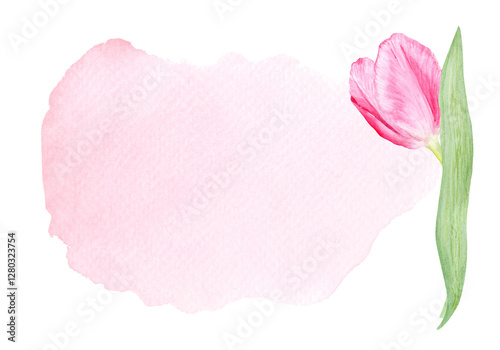 Wallpaper Mural Tulip flower horizontal card on pink watercolor background. Hand painted delicate pink flower, eco design. High quality clip art perfect for mother's day, women's day cards, posters, banners, decor Torontodigital.ca