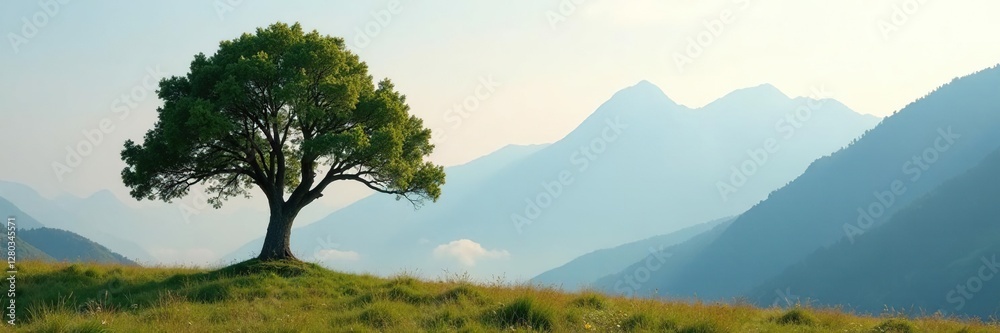Solitary tree against misty mountain background, wooden, background, tree Solitary tree against misty mountain background, wooden, background, tree