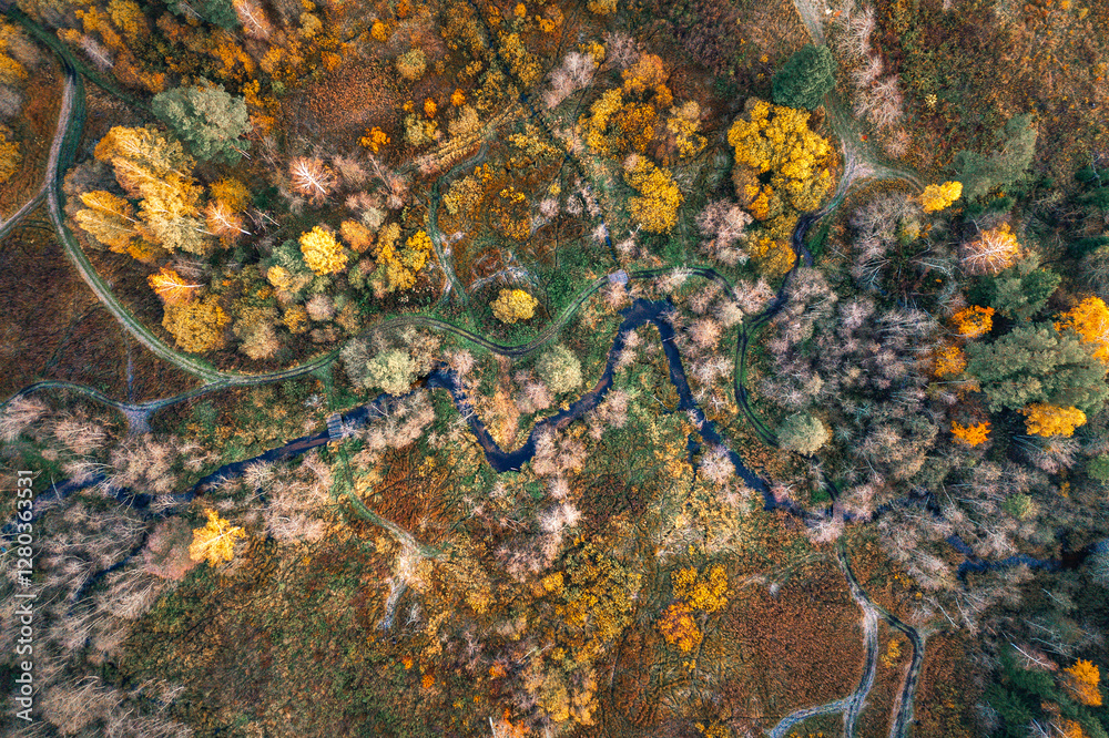 Top down drone shot of forest in colorful autumn colors. Abstract scenery, sustainable ecosystem. Colorful foliage.