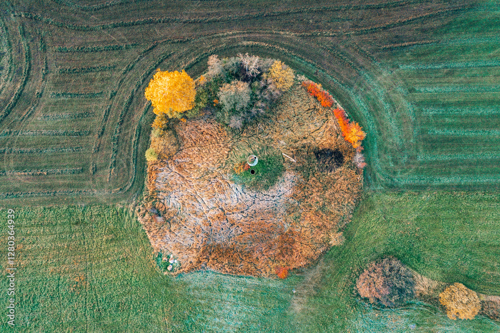 Top down drone shot of forest in colorful autumn colors. Abstract scenery, sustainable ecosystem. Colorful foliage.
