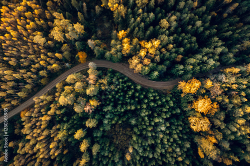 Obraz na płótnie Top down drone shot of forest in colorful autumn colors. Abstract scenery, sustainable ecosystem. Colorful foliage.
w salonie