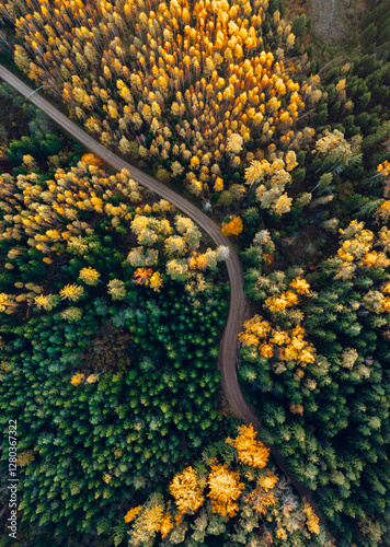 Obraz na płótnie Top down drone shot of forest in colorful autumn colors. Abstract scenery, sustainable ecosystem. Colorful foliage.
w salonie
