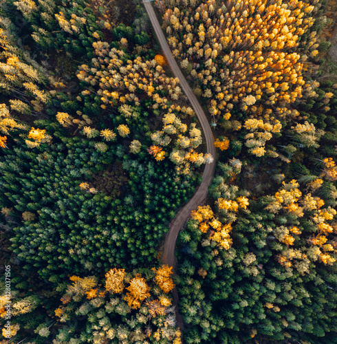 Obraz na płótnie Top down drone shot of forest in colorful autumn colors. Abstract scenery, sustainable ecosystem. Colorful foliage.
w salonie