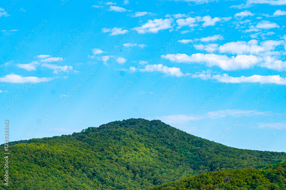 Picturesque view of green valley in summer Picturesque view of green valley in summer