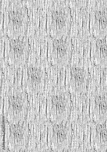 old wood texture