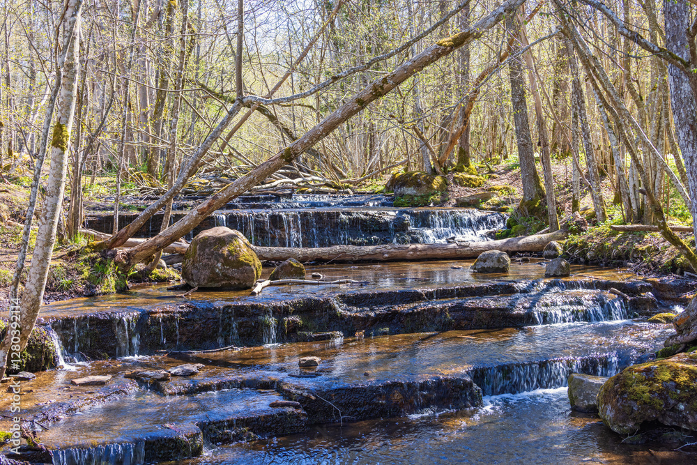 Creek with small waterfalls in a forest a sunny spring day Creek with small waterfalls in a forest a sunny spring day