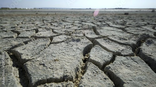 Barren, cracking earth revealing severe drought conditions in crimean landscape, signaling devastating climate change effects