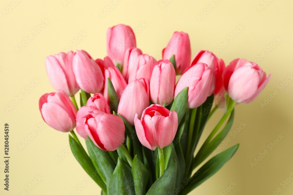 Beautiful fresh tulips on color background Beautiful fresh tulips on color background