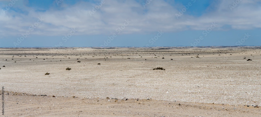 barren desert plain at Skeleton coast, near Cape Cross, Namibia barren desert plain at Skeleton coast, near Cape Cross, Namibia