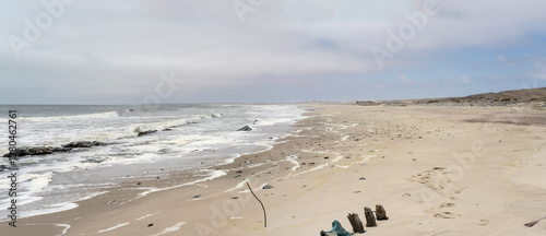 Obraz na płótnie wave froth on large beach at Ocean shore, near South West Seal shipwreck, Skeleton coast, Namibia w salonie