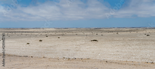 barren desert plain at Skeleton coast, near Cape Cross, Namibia