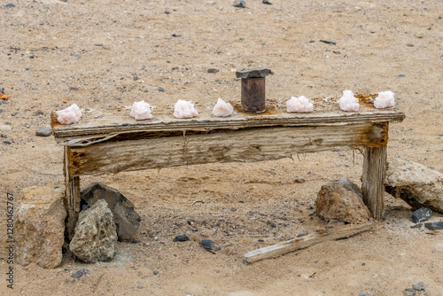 Obraz na płótnie salt cristals showcase at honesty market shop in desert, near Cape Cross, Namibia w salonie