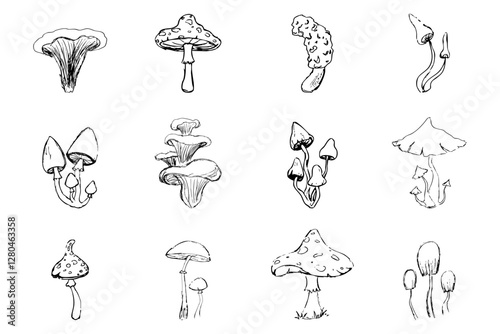 Mushroom sketch doodle drawing, fantasy forest line plant. Set botanical hand drawn mushrooms. Tattoo sign Linear.