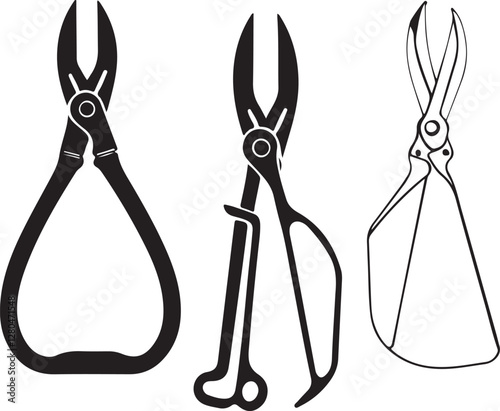 Pruners Rustic Tool for Gardening