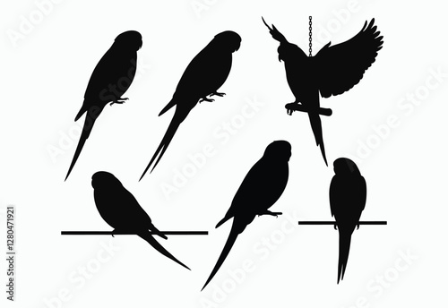 Budgie Silhouette Design Collection Vector Template