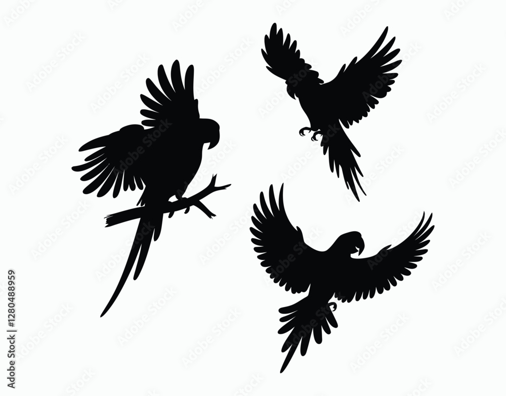 Obraz premium Minimal Parrot Silhouette EPS Template Design