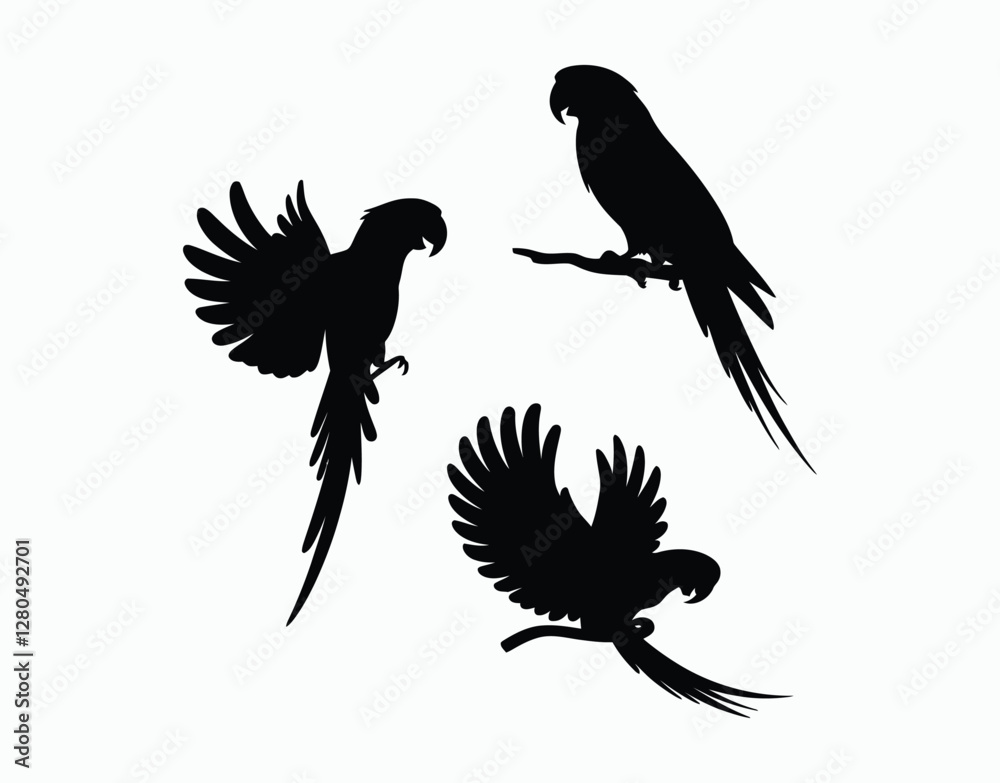 Obraz premium Tropical Parrot Silhouette EPS Template Design