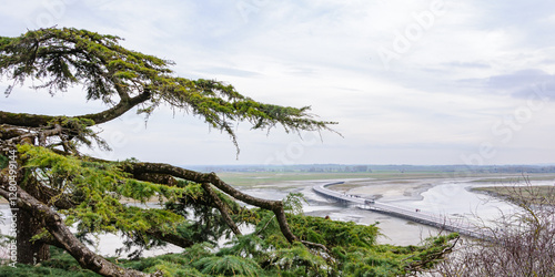 Scenic View of Mont Saint-Michel Causeway