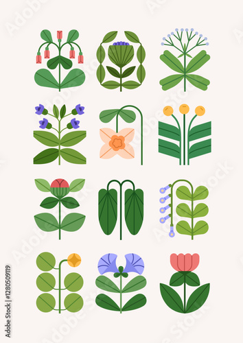 Floral postcard design. Modern botanical card with delicate flower blossoms, leaves, blooming branches, garden and field plants. Spring and summer nature, botany poster. Flat vector illustration