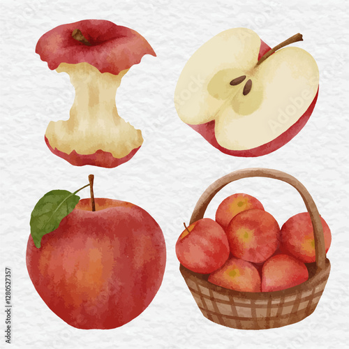 watercolor apple collection illustration