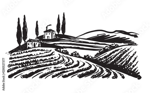 Wine plantations, hand drawn on white