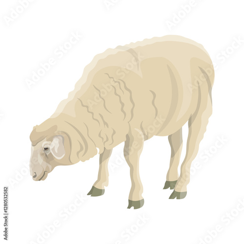 Grazing sheep, side view. Farm animal. Vector illustration isolated on a white background in a realistic style