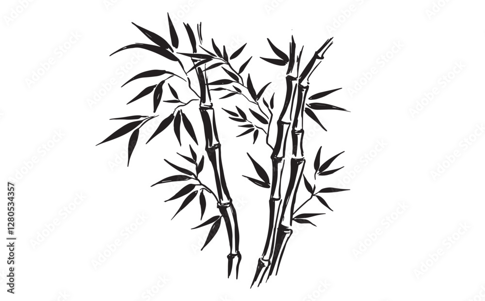 Obraz premium Bamboo tree on white, Hand drawn style.