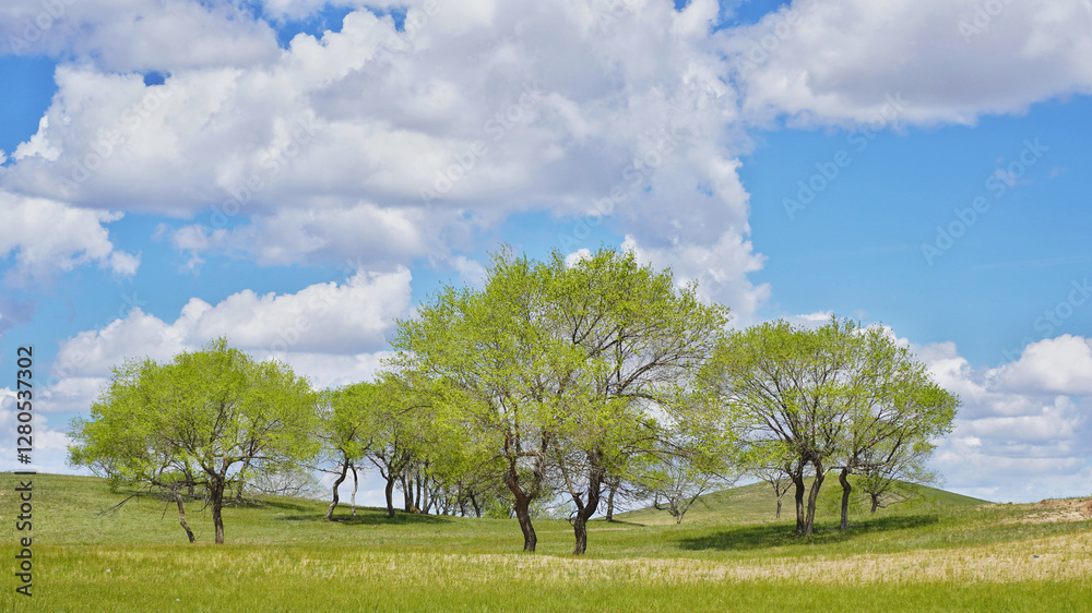 tree on a meadow tree on a meadow