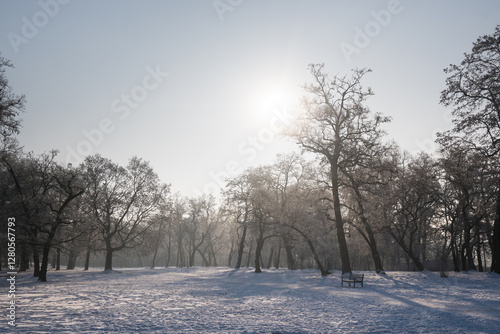 Winter landscape, trees covered with snow and frost.
