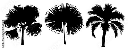 Set of palm tree black silhouettes. Tropical plants symbols, icons. Hand drawn flat vector illustrations isolated on white background