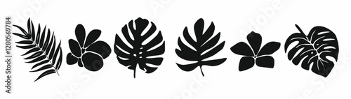 Tropical leaves and flowers black silhouettes set. Flat vector illustrations isolated on white background