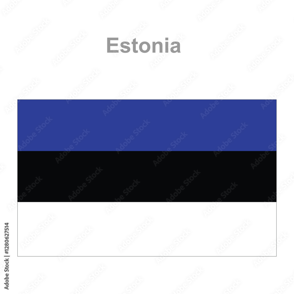 Estonia flag. Vector illustration of the national flag Estonia flag. Vector illustration of the national flag
