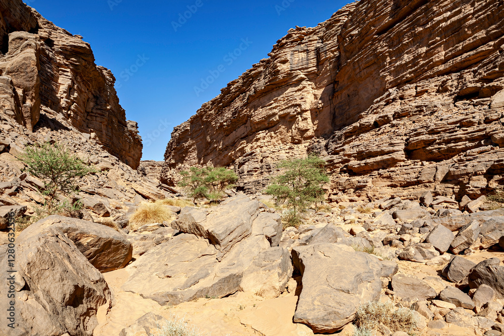 The Rocks and Gorge of the Sahara Desert in Algeria The Rocks and Gorge of the Sahara Desert in Algeria