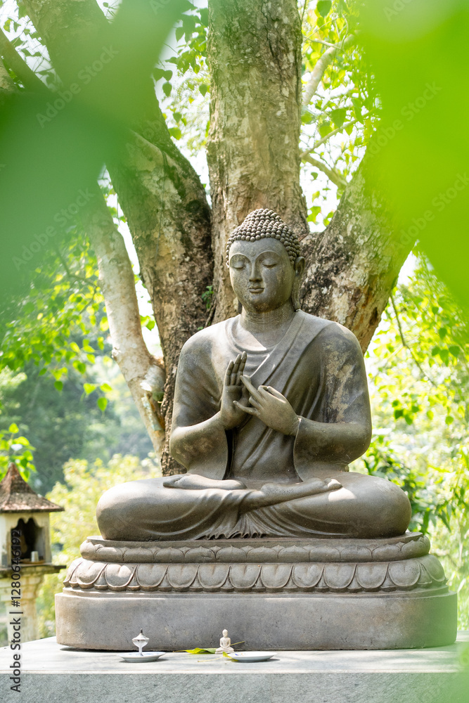 Ancient Buddha Statue in Sri Lanka’s Forest Ancient Buddha Statue in Sri Lanka’s Forest
