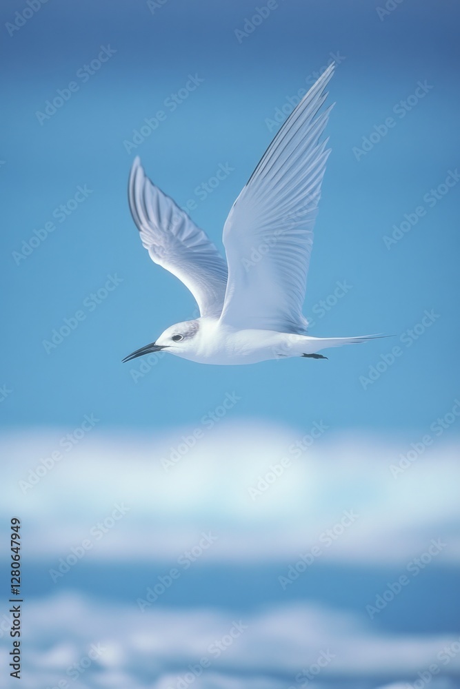 Fototapeta premium Soaring bird gliding gracefully over tranquil blue waters, wings
