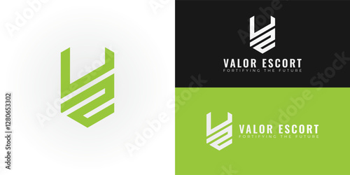 The dynamic logo design features the initials VE creatively integrated into a stylized shield, creating a unique and visually striking symbol that evokes a sense of security, protection, and vigilance