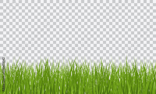 Green Grass border isolated on transparent background, vector illustration. Realistic green seamless grass. Grass png, lawn png.